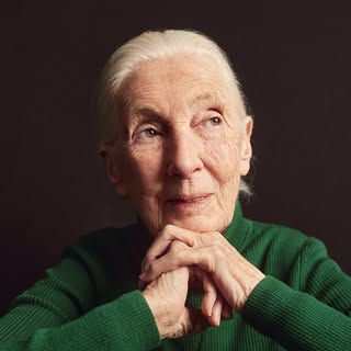 Jane Goodall